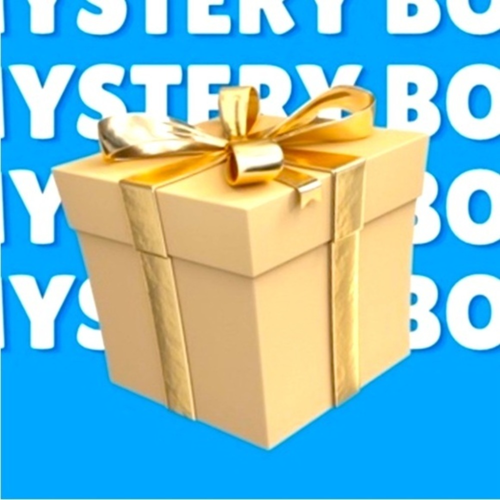 Mystery Gift ~ Designer or Lux! 🎁 The more you bid, the more you get!